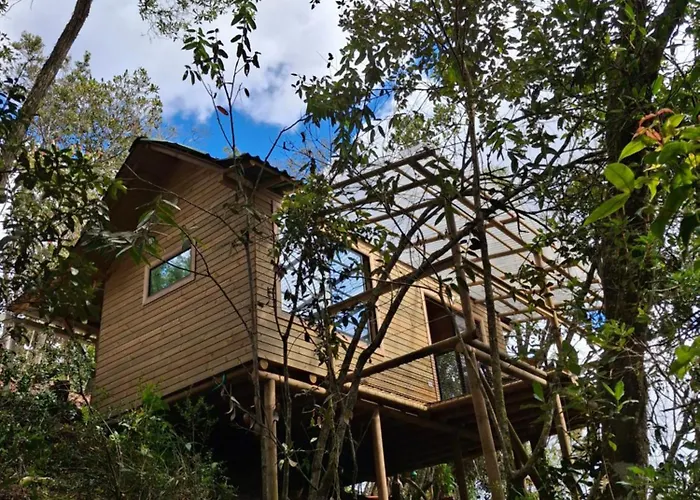 Cabana Del Bosque