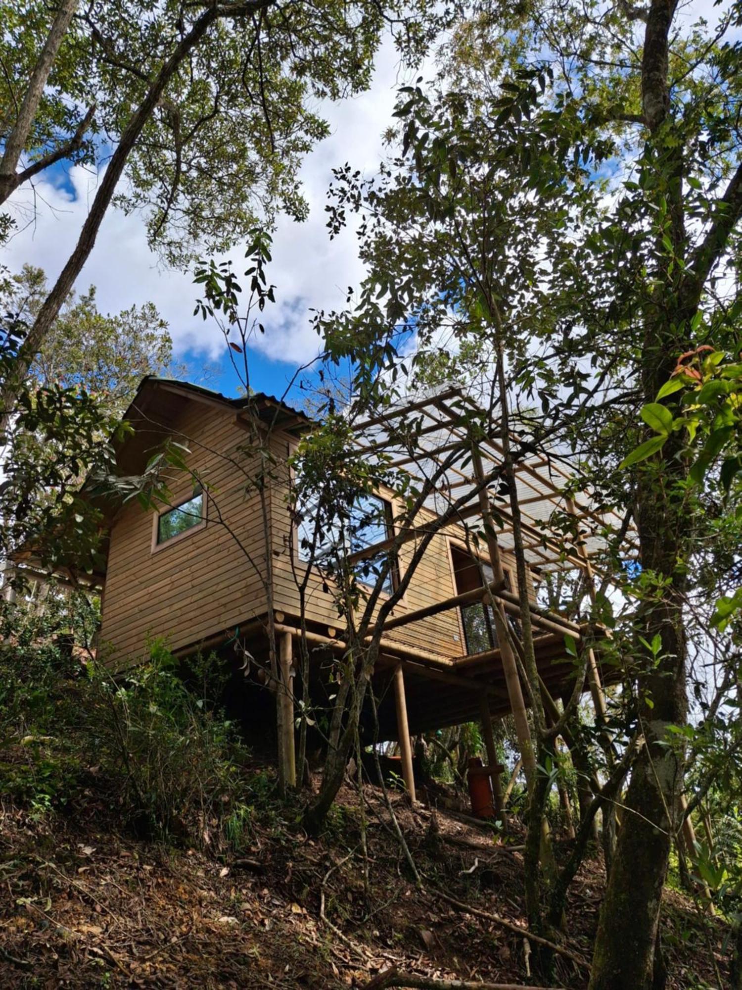 Del Bosque Campsite *